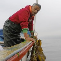 Segunda mención honorífica