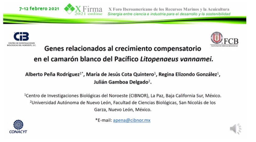 Primer premio trabajos