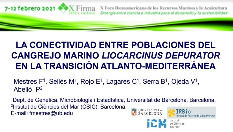 Tercer premio trabajos